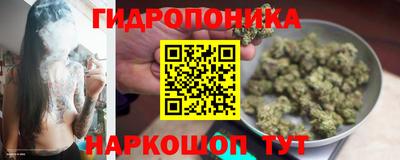 молекула духа Рыбинск
