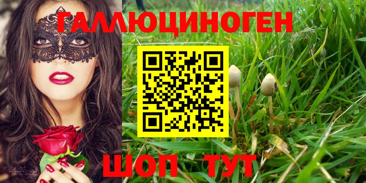 Галлюциногенные грибы Magic Shrooms  Псилоцибиновые грибы Cubensis  Вход с VPN  Ногинск 